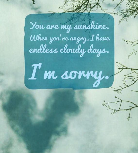 Message, Sorry, Love