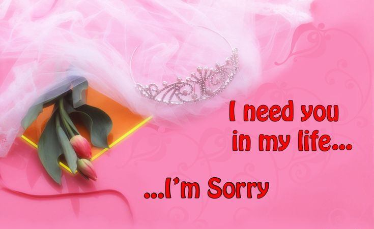 Message, Sorry, HusbandWife, Flower