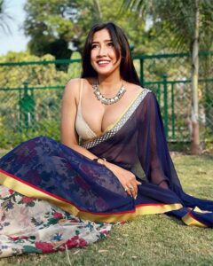 Sofia Ansari sexy bhabhi photo in blue saree with golden blouse